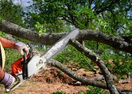 Lawn Renovation and Restoration in Clymer, PA